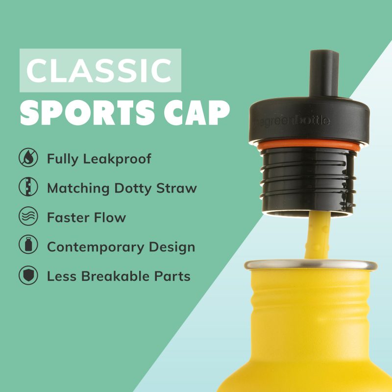 One Green Bottle Stainless Steel Reusable Canteen Water Bottle Bumble